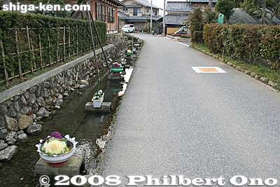 Even before the spring flowers bloom, they find ways to color the streams.
Keywords: shiga kora-cho town shimonogo