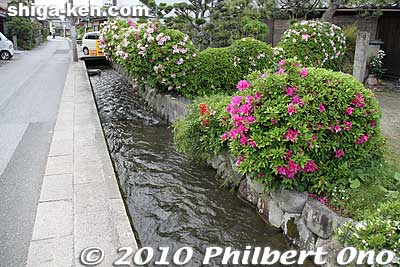 Zaiji has numerous little streams along the roads and houses. You often see flowering plants decorating the streams. It is one of the town's symbols.
Keywords: shiga kora-cho zaiji