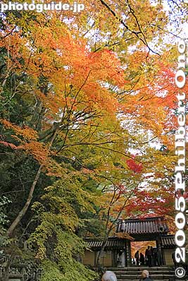 Entrance Gate. This is where you pay admission. 総門
Keywords: shiga prefecture higashiomi eigenji Eigenjifall autumn zen rinzai temple japantemple