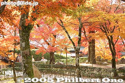 Keywords: shiga prefecture higashiomi eigenji Eigenjifall autumn zen rinzai temple