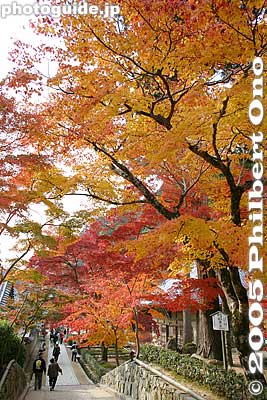 Keywords: shiga prefecture higashiomi eigenji Eigenjifall autumn zen rinzai temple
