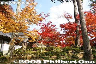 Keywords: shiga prefecture higashiomi eigenji Eigenjifall autumn zen rinzai temple red maple leaves foliage