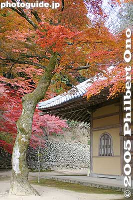Keywords: shiga prefecture higashiomi eigenji Eigenjifall autumn zen rinzai temple japantemple