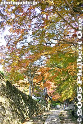Autumn leaves. In its heyday, Hyakusaiji was home to 1,300 priests, before the temple was burned by Oda Nobunaga.
Keywords: shiga prefecture higashiomi hyakusaiji temple fall autumn leaves colors Hyakusaijifall shigabesthist