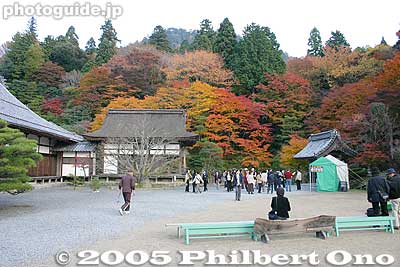 Keywords: shiga prefecture higashiomi hyakusaiji temple fall autumn leaves colors Hyakusaijifall