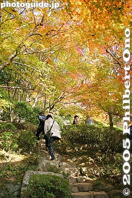 You can hike up the hillside garden.
Keywords: shiga prefecture higashiomi hyakusaiji temple fall autumn leaves colors Hyakusaijifall kotosanzan