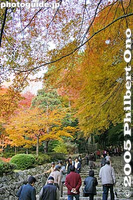 Steps to main temple
Keywords: shiga prefecture higashiomi hyakusaiji temple fall autumn leaves colors Hyakusaijifall kotosanzan