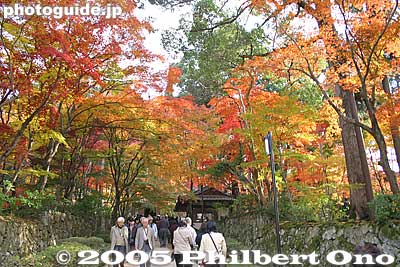 More path foilage
Keywords: shiga aisho koto sanzan kongorinji temple fall autumn colors kotosanzan