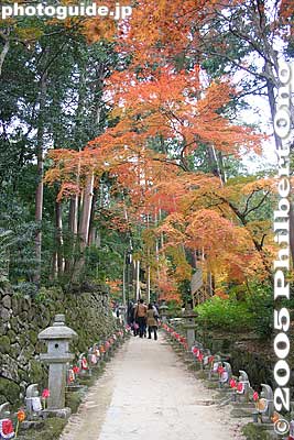 Entering the path of little stone Jizo statues
Keywords: shiga prefecture hatasho-cho koto sanzan kongorinji temple fall autumn colors kotosanzan