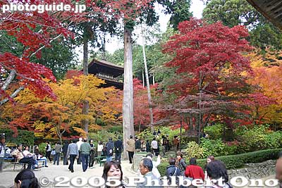 3-story pagoda
Keywords: shiga prefecture hatasho-cho koto sanzan kongorinji temple fall autumn colors kotosanzan