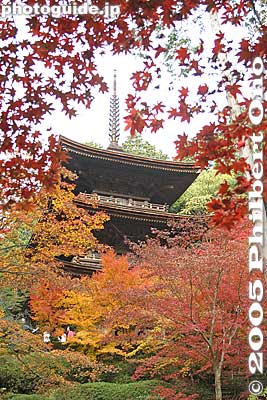 3-story pagoda, reconstructed in 1978
Keywords: shiga prefecture hatasho-cho koto sanzan kongorinji temple fall autumn colors japantemple kotosanzan