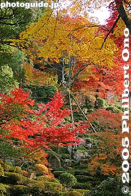 Garden
Keywords: shiga prefecture hatasho-cho koto sanzan kongorinji temple fall autumn colors