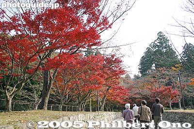Crossing the Meishin expressway. There's a bridge over a busy and noisy expressway which you cross to get to the other side of the temple grounds.
Keywords: shiga prefecture kora-cho koto sanzan saimyoji temple fall autumn colors kotosanzan