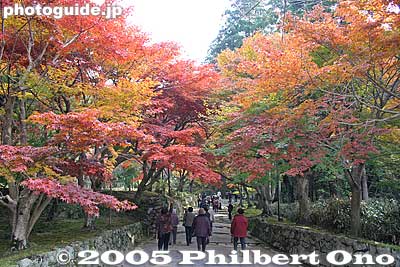The path was a stunning showcase for autumn foilage.
Keywords: shiga prefecture kora-cho koto sanzan saimyoji temple fall autumn colors kotosanzan