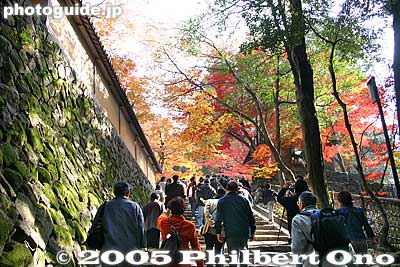 Stairs to autumn heaven. Up to here, the path was just filled with colors. And more still awaited.
Keywords: shiga prefecture kora-cho koto sanzan saimyoji temple fall autumn colors kotosanzan