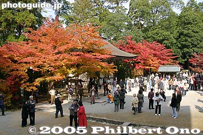 Hondo grounds
Keywords: shiga prefecture kora-cho koto sanzan saimyoji temple fall autumn colors kotosanzan