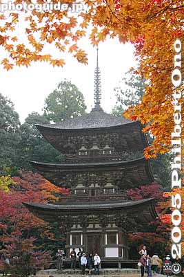 3-story pagoda, a National Treasure
In 1571, Oda Nobunaga ordered Saimyoji to be burned down right after scorching Enryakuji on Mt. Hiei. Fortunately, this Kamakura-Period main hall and the pagoda survived. The pagoda is 23.7 meters high.
Keywords: shiga prefecture kora-cho koto sanzan saimyoji temple fall autumn colors