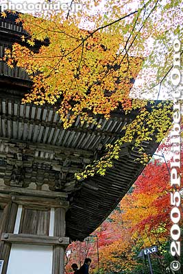 3-story pagoda, a National Treasure
Keywords: shiga prefecture kora-cho koto sanzan saimyoji temple fall autumn colors kotosanzan