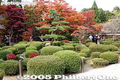 Horaitei garden
Keywords: shiga prefecture kora-cho koto sanzan saimyoji temple fall autumn colors kotosanzan