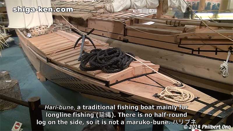 Hari-bune, a traditional fishing boat mainly for longline fishing (延縄). There is no half-round log on the side, so it is not a maruko-bune. ハリブネ
Keywords: shiga kusatsu karasuma peninsula lake biwa museum aquarium fish