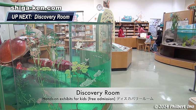 Discovery Room - Hands-on exhibits for kids (free admission) ディスカバリールーム
Keywords: shiga kusatsu karasuma peninsula lake biwa museum aquarium fish