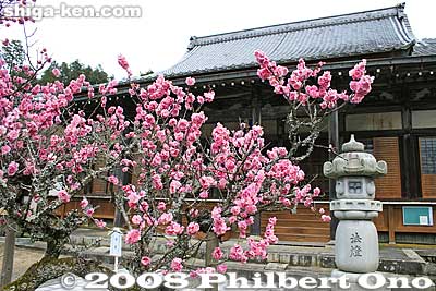 This is the area where Hojo Nakatoki and his men committed seppuku.
Keywords: shiga maibara bamba-juku banba nakasendo post stage town station shukuba jodo-shu buddhist rengeji temple