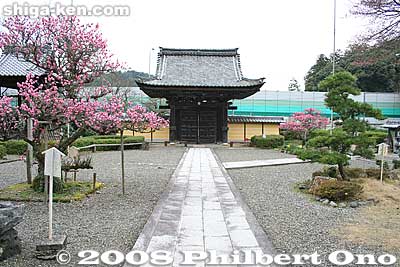View from Hondo hall.
Keywords: shiga maibara bamba-juku banba nakasendo post stage town station shukuba jodo-shu buddhist rengeji temple