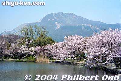 Mishima Pond with Mt. Ibuki and cherry blossoms.
Keywords: shiga maibara mt. ibuki ibukiyama mishima pond sakura cherry blossoms shigabestviews