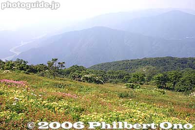 The most scenic part of Ibukiyama is the summit. It's a popular time to visit with many alpine flowers in bloom.
Keywords: shiga maibara mt. ibukiyama mountain ibuki summit