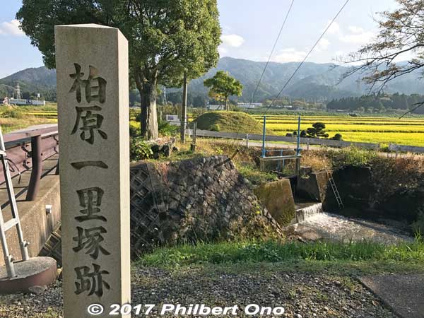 Kashiwabara Ichirizuka distance marker or milestone used by travelers to gauge how far they have traveled. 
Keywords: shiga maibara kashiwabara nakasendo shukuba