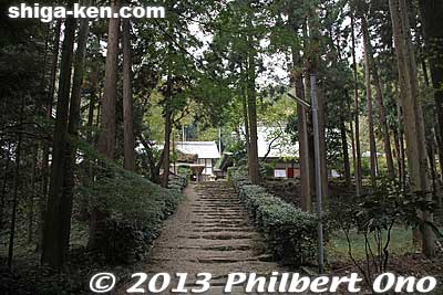 Steps to Jobodai-in temple's main hall in Kashiwabara-juku, Maibara, Shiga.
Keywords: shiga maibara kashiwabara-juku nakasendo shukuba