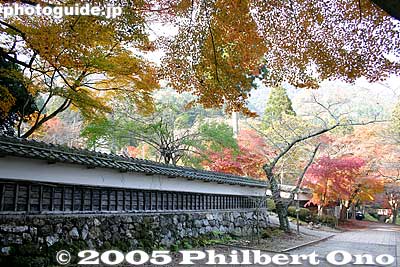 Temple wall
Keywords: shiga maibara kashiwabara kiyotaki tokugen-in temple kyogoku clan fall foliage autumn leaves