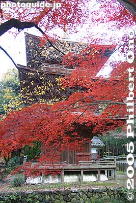 Kiyotaki Tokugen-in temple's three-story pagoda in Maibara, Shiga.
Keywords: shiga maibara kashiwabara kiyotaki tokugen-in temple kyogoku clan fall foliage autumn leaves pagoda japanaki