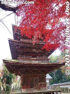 Kiyotaki Tokugen-in temple's three-story pagoda
Keywords: shiga maibara kashiwabara kiyotaki tokugenin tendai buddhist temple
