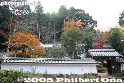 Entrance to Kyogoku graves. 京極
Keywords: shiga maibara kashiwabara kiyotaki tokugen-in temple kyogoku clan fall foliage autumn leaves