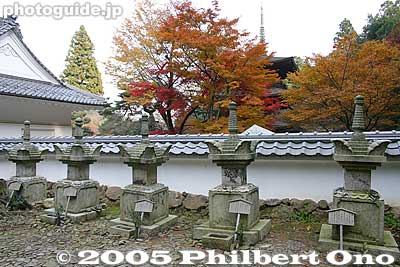 Graves of the Tadotsu Clan (多度津藩), a branch of the Kyogoku who ruled in Marugame. From left to right, Kyogoku Takateru (高琢), Takakata (高賢), Takabumi (高文), Takayoshi (高慶), and Takamichi (高通).
Keywords: shiga maibara kashiwabara kiyotaki tokugen-in temple kyogoku clan fall foliage autumn leaves gravestone