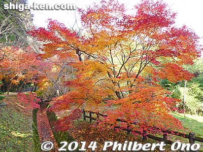 Keywords: shiga maibara kashiwabara kiyotaki tokugen-in temple kannon stone statuesfall foliage autumn leaves