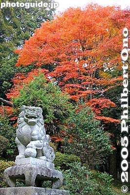 Kiyotaki Jinja Shrine
Keywords: shiga maibara kashiwabara kiyotaki tokugen-in temple kannon stone statuesfall foliage autumn leaves shrine
