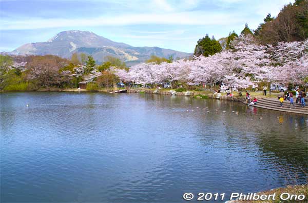 Mishima Pond (Mishima-Ike) and Mt. Ibuki in spring with cherry blossoms. 
Keywords: shiga maibara mishima pond mt. ibuki sakura cherry blossoms