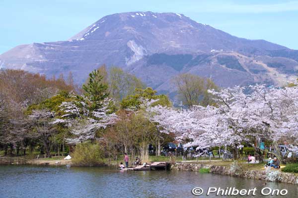 Mishima Pond and Mt. Ibuki  with cherry blossoms. 
Keywords: shiga maibara mishima pond mt. ibuki sakura cherry blossoms