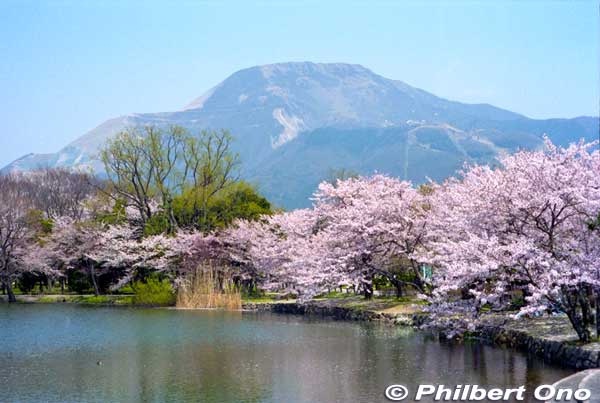 Mishima Pond and Mt. Ibuki