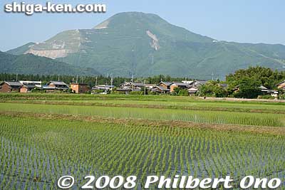 Scenery on the way to Kannonji temple in Maibara. Mt. Ibuki and rice paddies.
Keywords: shiga maibara ibukiyama mt.