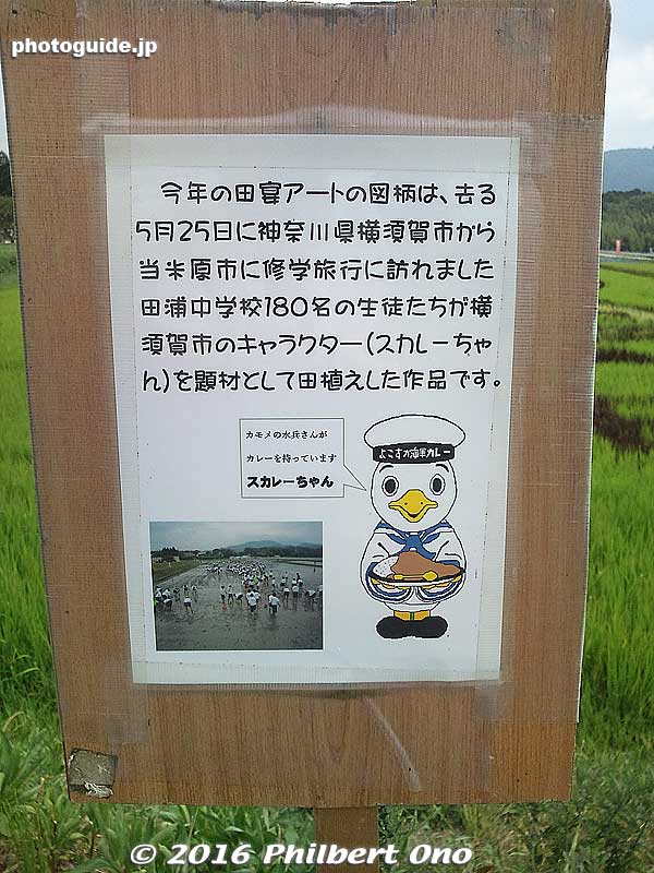 Rice paddy art by 180 junior high students from Yokosuka visiting Maibara in late May 2016. It's their city's mascot Sucurry.
Keywords: shiga maibara