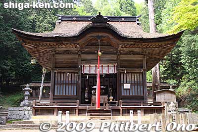 Hinade Shrine in Maibara, Shiga Prefecture has Imperial connections as it also worships the legendary Emperor Ojin.
Keywords: shiga maibara hinade jinja shrine 