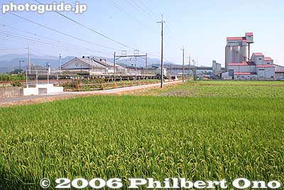 Sakata Station amid rice paddies.
Keywords: shiga maibara sakata station omi-cho 