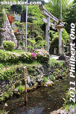 In front of Kamo Shrine is crystal clear water from a natural spring called Isame no Shimizu. This is the source of Samegai's famous Jizogawa River and one of Japan's 100 Famous Springs of the Heisei Period.
Keywords: shiga maibara samegai-juku stage post town nakasendo road shukuba