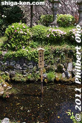 This is one of Samegai's famous Three Spring Waters. This one, in front of Kamo Shrine, is called Isame-no-Kiyomizu. 居醒の清水
Keywords: shiga maibara samegai-juku stage post town nakasendo road shukuba