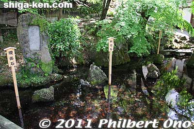 Three of Samegai's famous rocks are here, indicated by these wooden signs. 鞍懸石
Keywords: shiga maibara samegai-juku stage post town nakasendo road shukuba