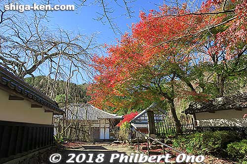 Front entrance to temple grounds.
Keywords: shiga maibara kashiwabara kiyotaki tokugenin temple fall foliage autumn leaves