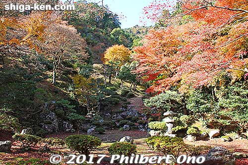 View of Tokugen-in Temple's garden in autumn.
Keywords: shiga maibara kashiwabara kiyotaki tokugenin temple fall foliage autumn leaves garden
